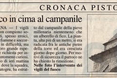 2001 - Un fico in cima al campanile